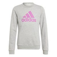 Vorschau: ADIDAS Essentials Big Logo Cotton Sweatshirt 10712069