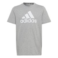 Vorschau: ADIDAS Essentials Big Logo T-Shirt 10712165