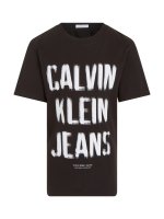 Vorschau: CALVIN KLEIN T-shirt 10728775