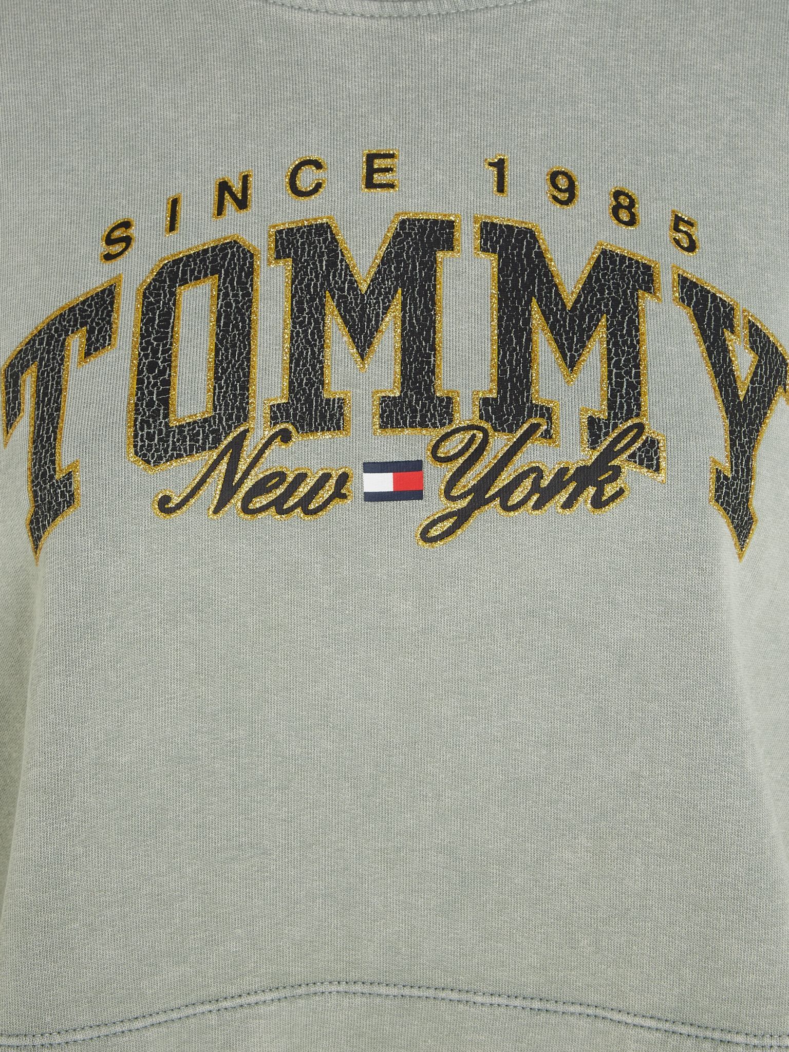 TOMMY JEANS Sweatshirt 10716147