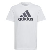 Vorschau: ADIDAS Essentials Big Logo Cotton T-Shirt 10731897
