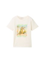 Vorschau: TOM TAILOR DENIM Print T-Shirt mit Bio-Baumwolle 10761342