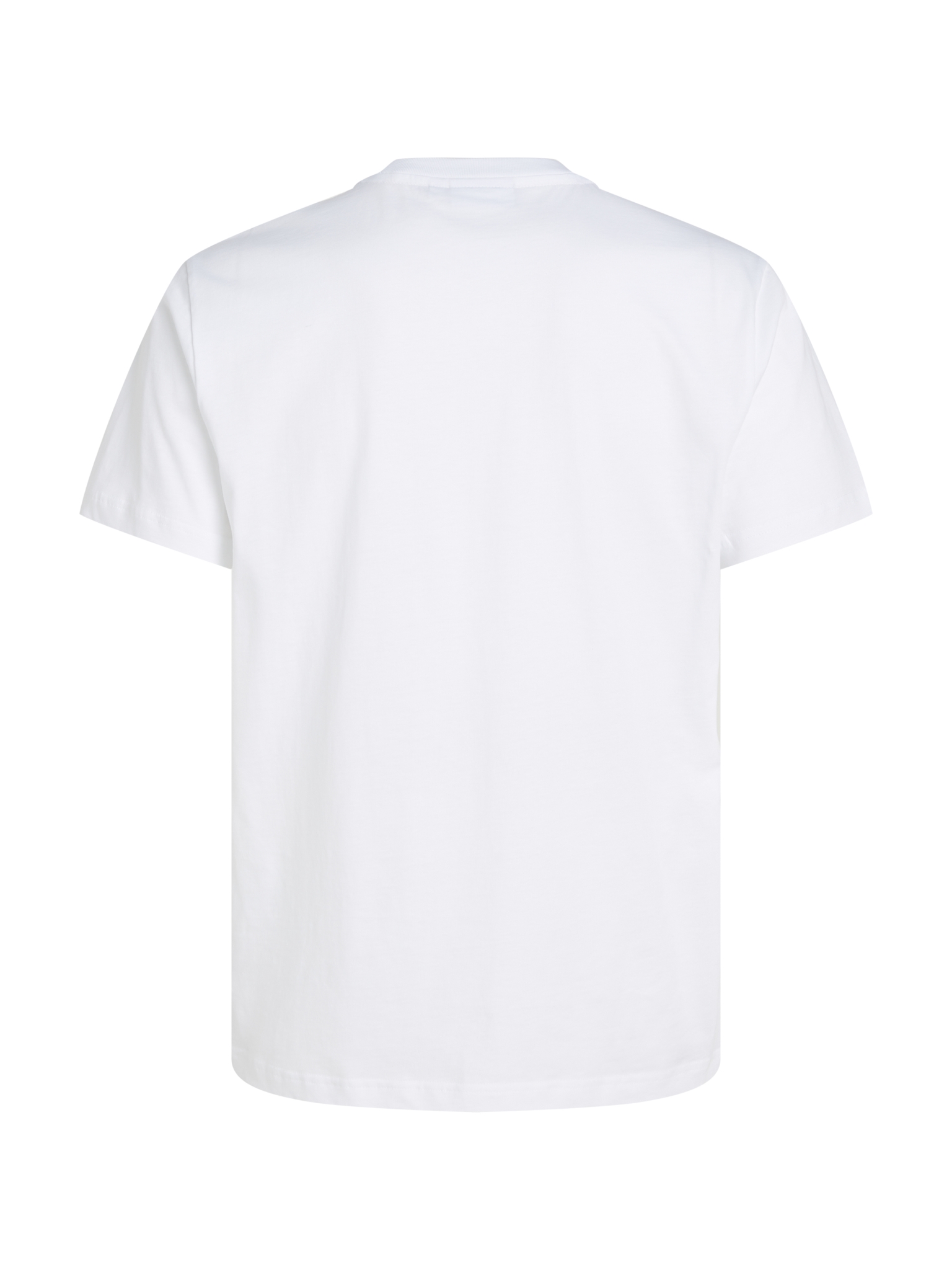 CALVIN KLEIN T-Shirt Druck 10736395